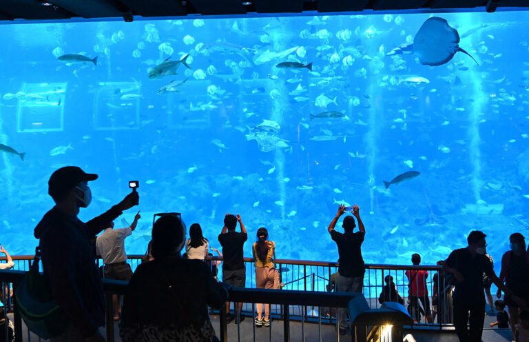 Top 3 Wheelchair Friendly Zoos in Singapore