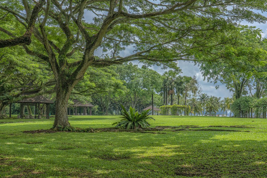 Wheelchair friendly parks Singapore